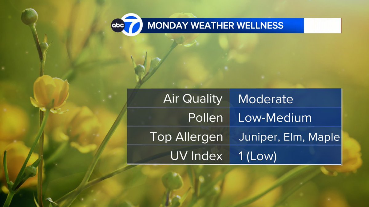 Jeff Smith tweet media