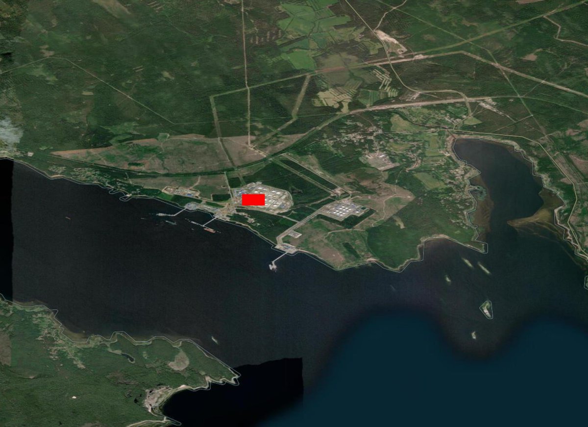 Malinda 🇺🇸🇺🇦🇵🇱🇨🇦🇮🇹🇦🇺🇬🇧🇬🇪🇩🇪🇸🇪 tweet media