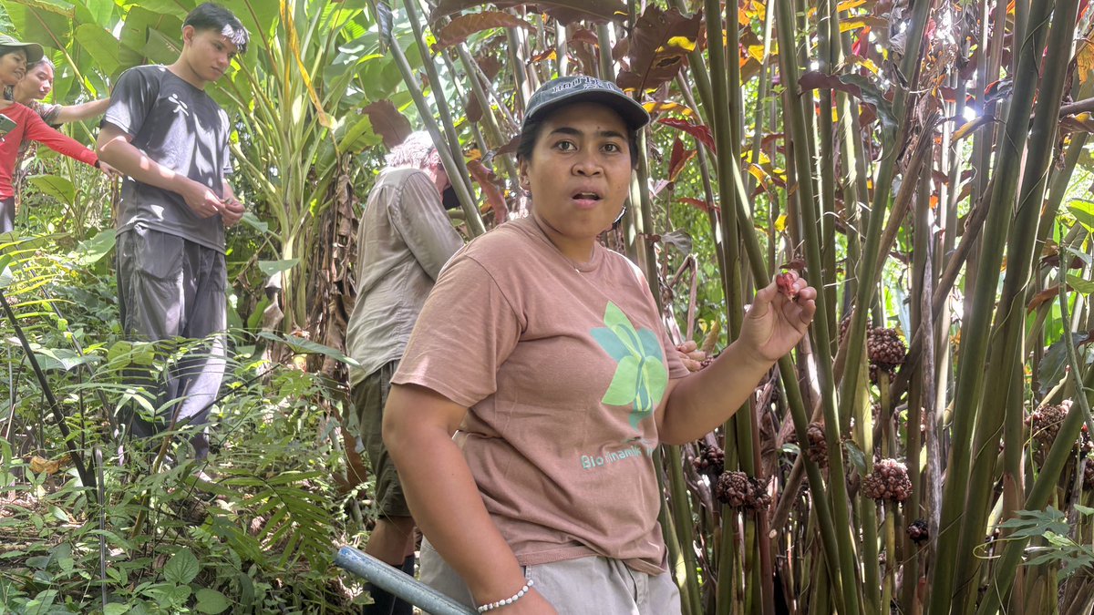 Anton Muhajir tweet media