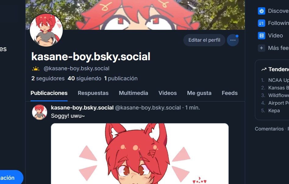 KasaneBoy tweet media