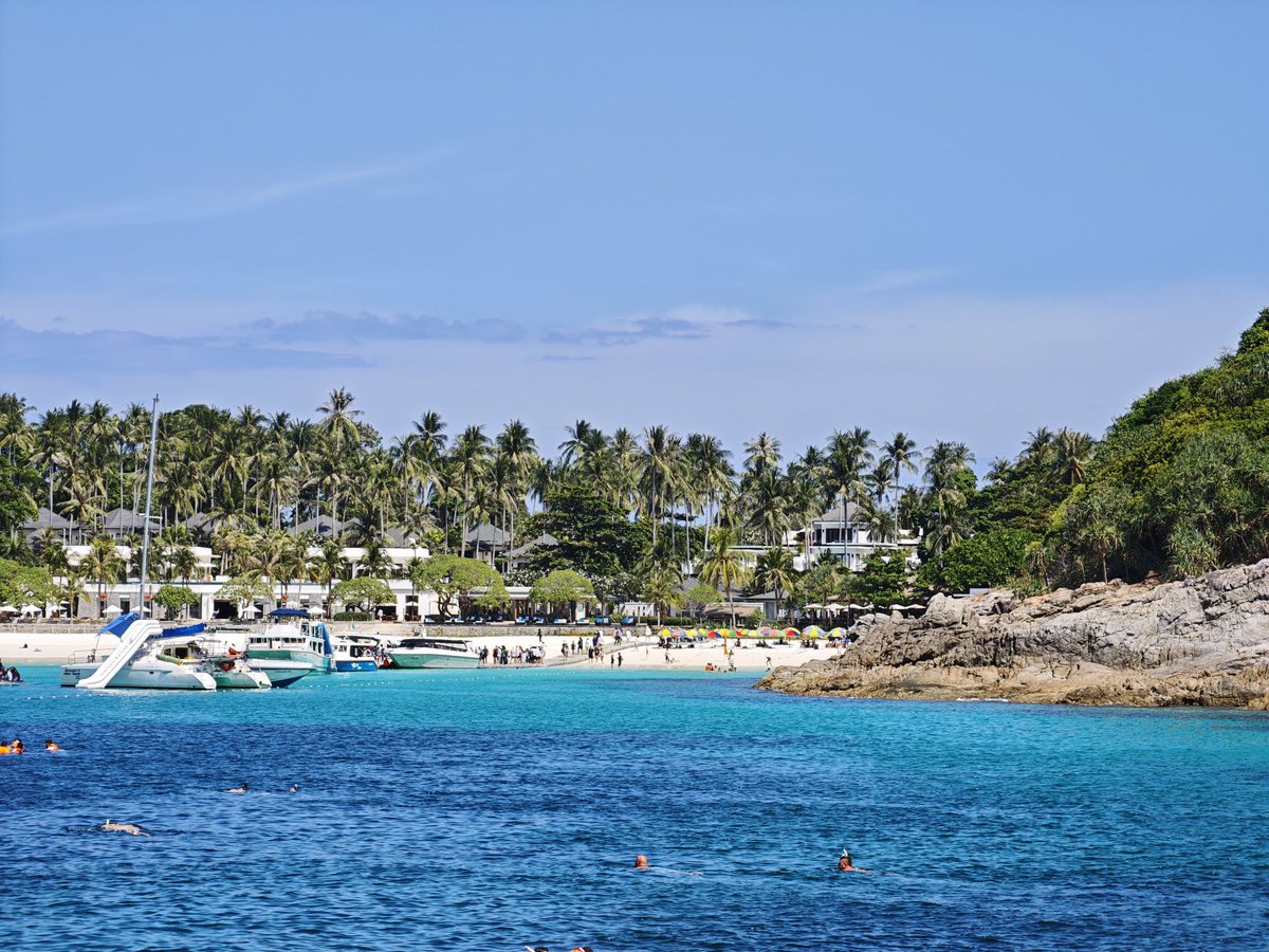 炼金叔叔 tweet media