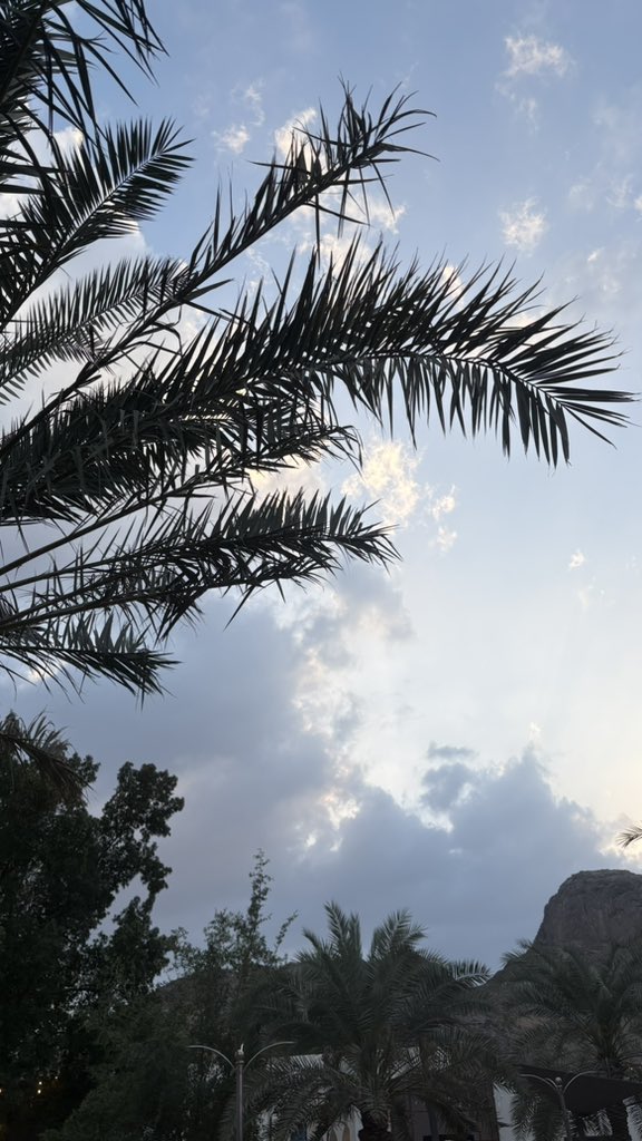 ديّار tweet media