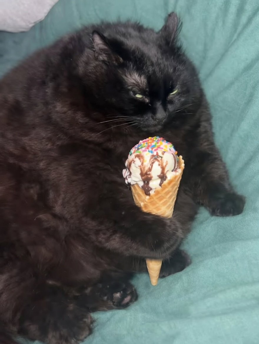 Amanita Virosa (@amanitavirosa2) on Twitter photo 