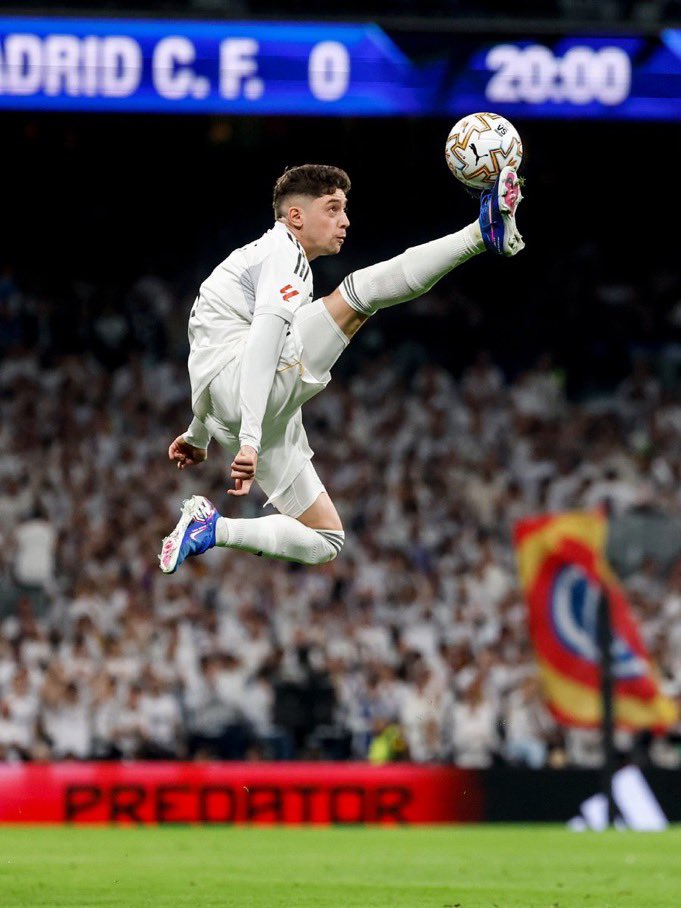 سلطان tweet media