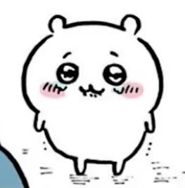 kibble🍉 (pfp by doe) tweet media