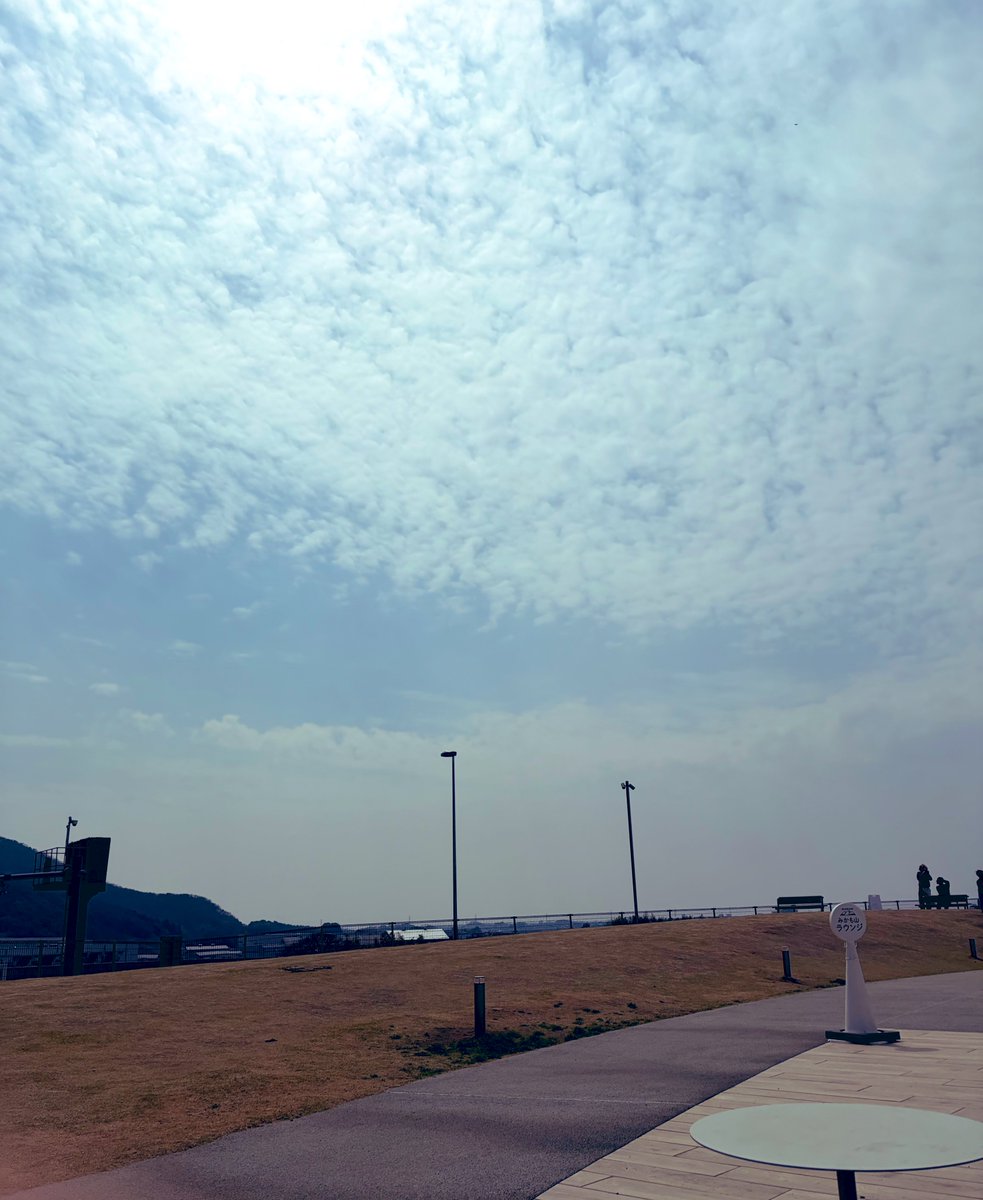 柳杏奈あむ tweet media