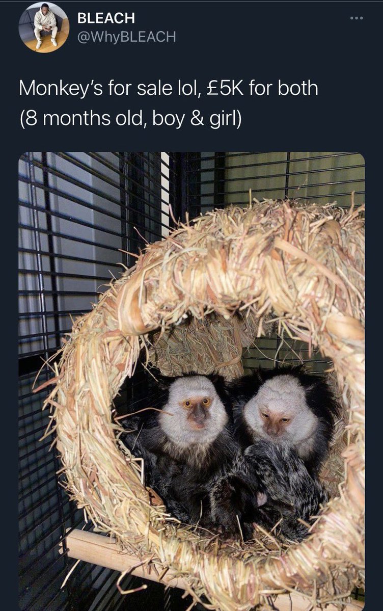 father stretch my bandz tweet media