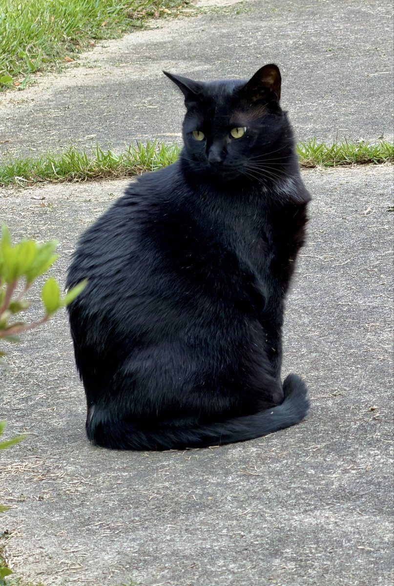 stanley lines tweet media