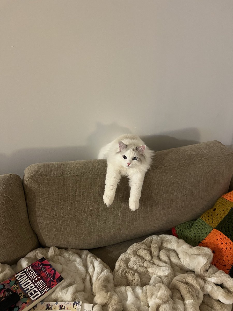 clifford carmichael tweet media