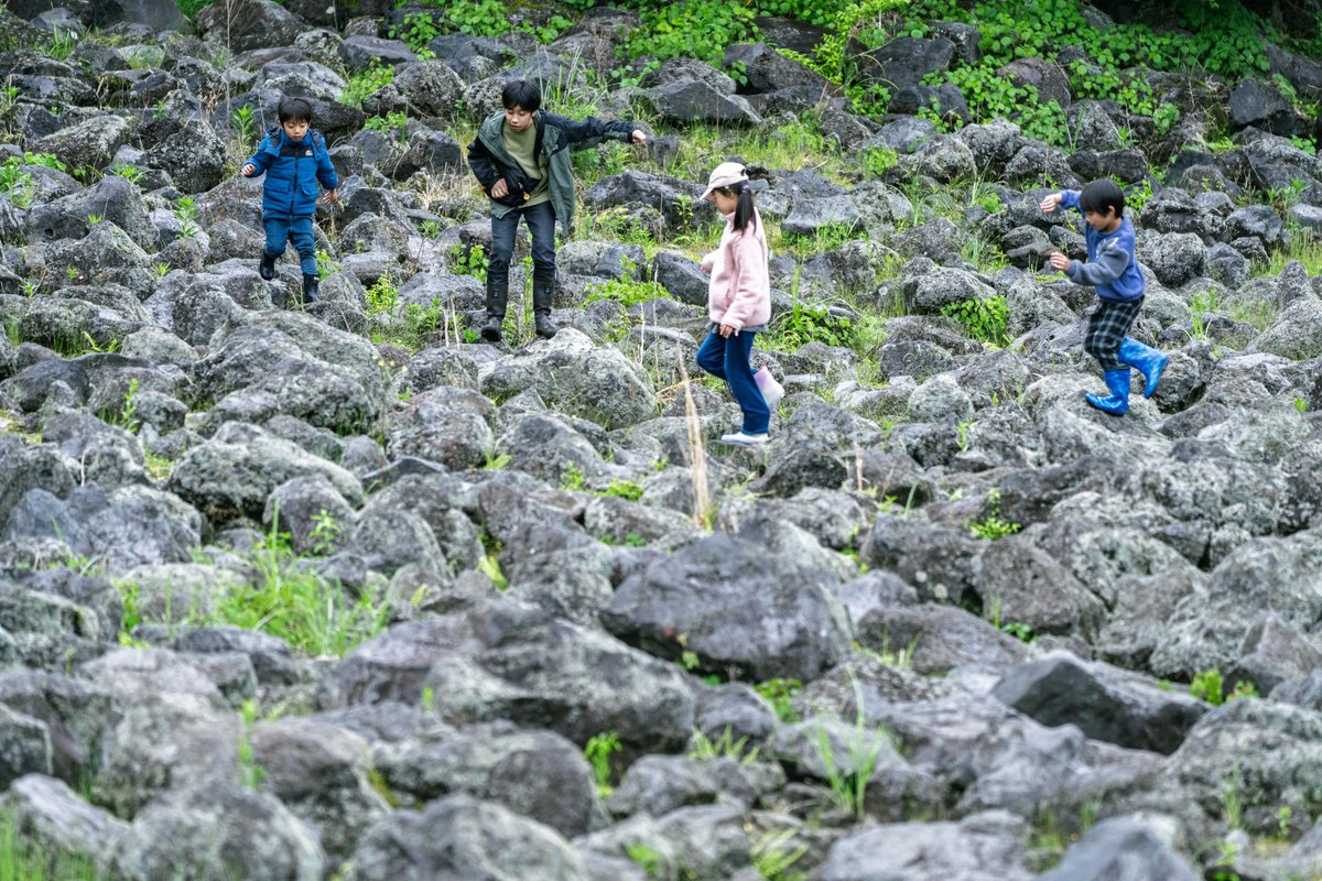 FUJI & SUN'26 tweet media