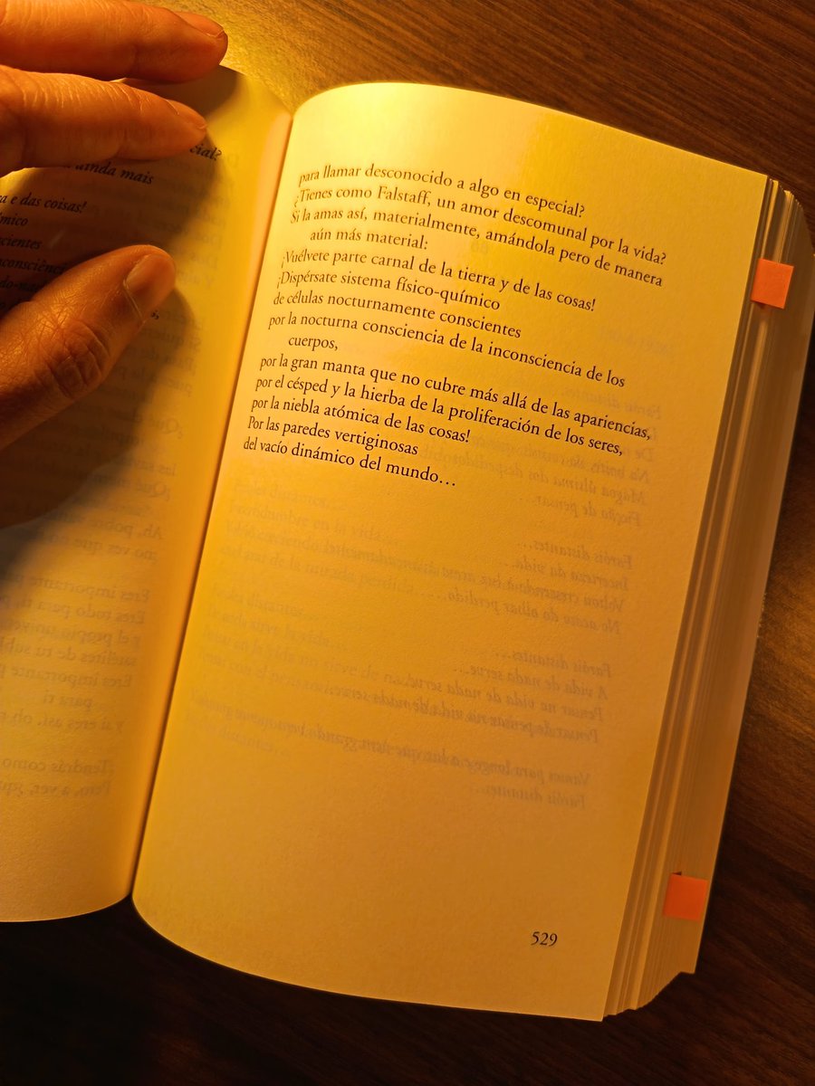 Cómo puedo pensar que mi vida o cualquier cosa que hago con ella o para ella pueda tener alguna importancia en el paréntesis de mi tiempo y de mi espacio y de mi universo si crecí con Álvaro de Campos como maestro no de la humildad sino de la pedagogía de coexistir en la nada.