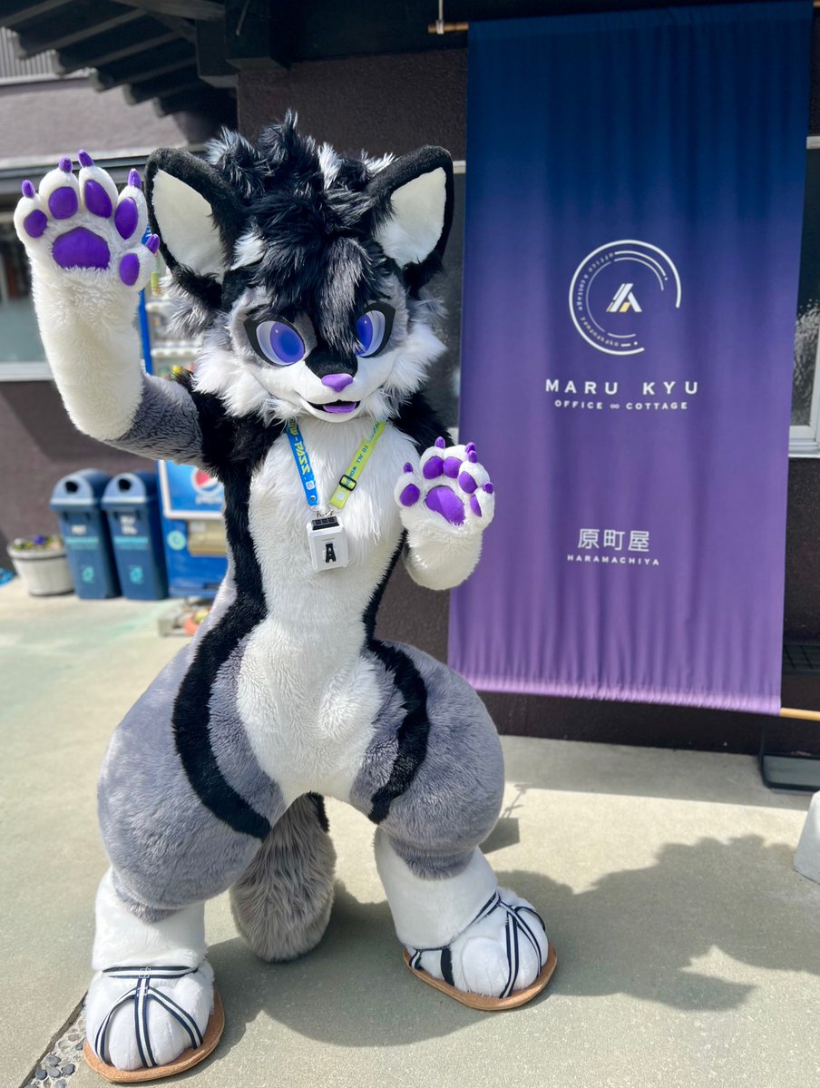 Murasaki🐺 tweet media