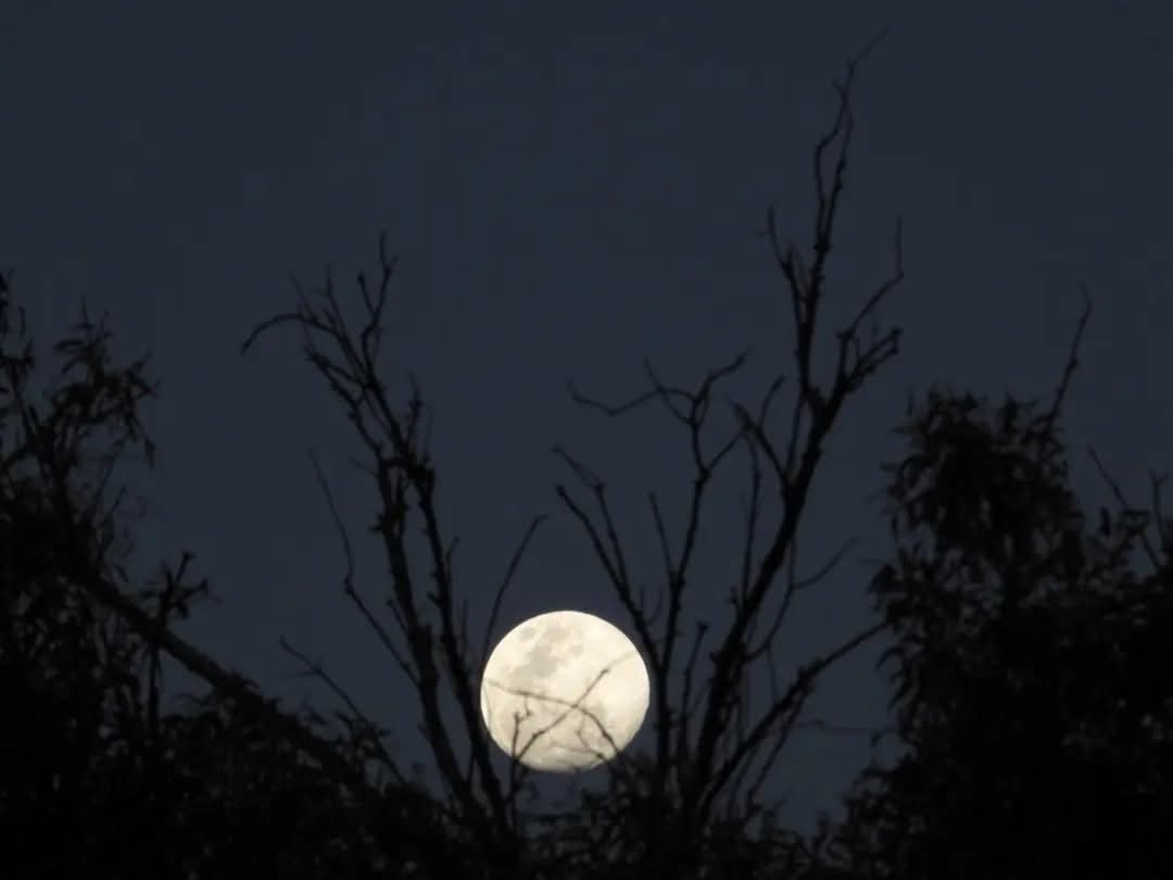 Julia Muñoz tweet media