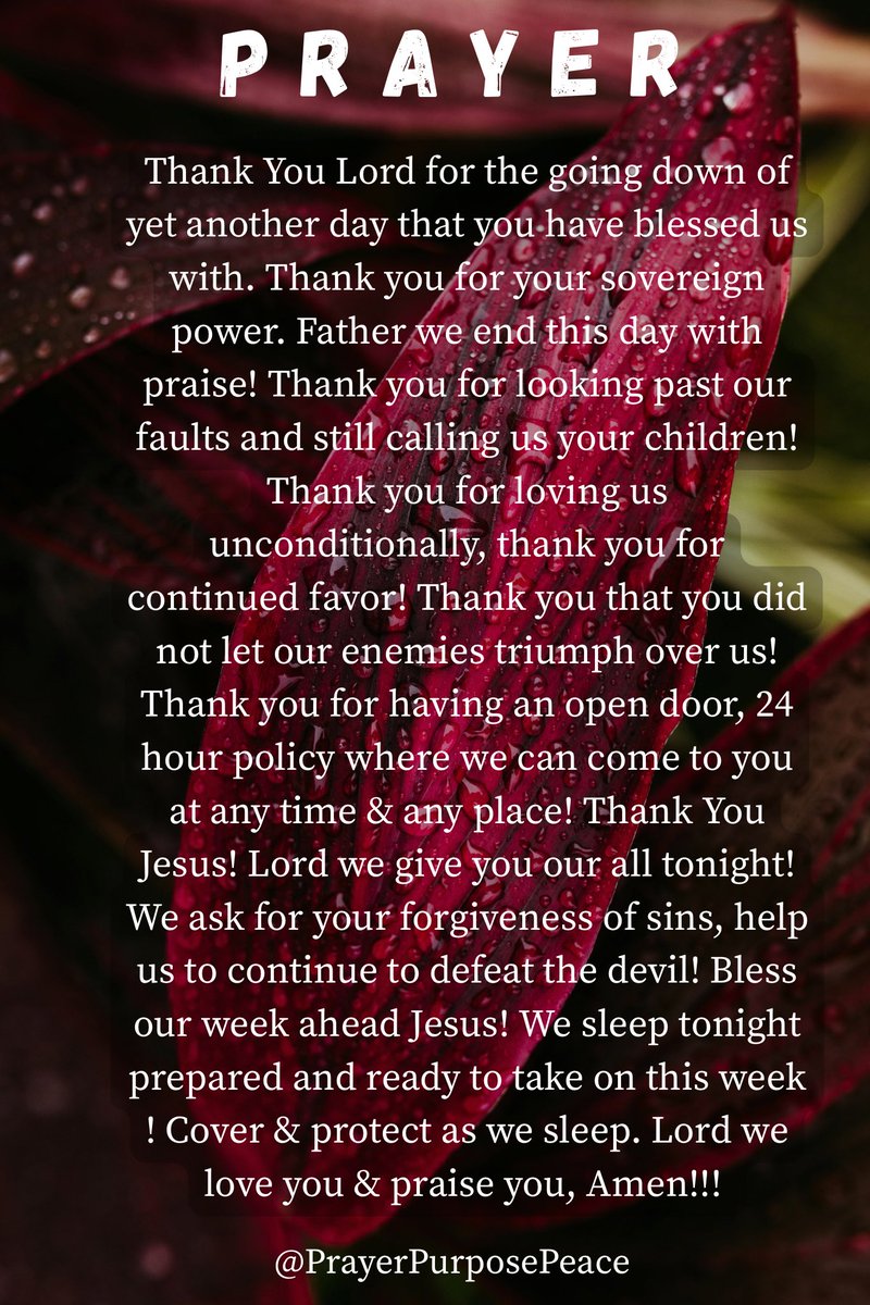 PrayerPurposeP's tweet photo. Good Night ❤️

#God #Jesus #HolySpirit #Pray #GoodNight https://t.co/5nQMD9XF45
