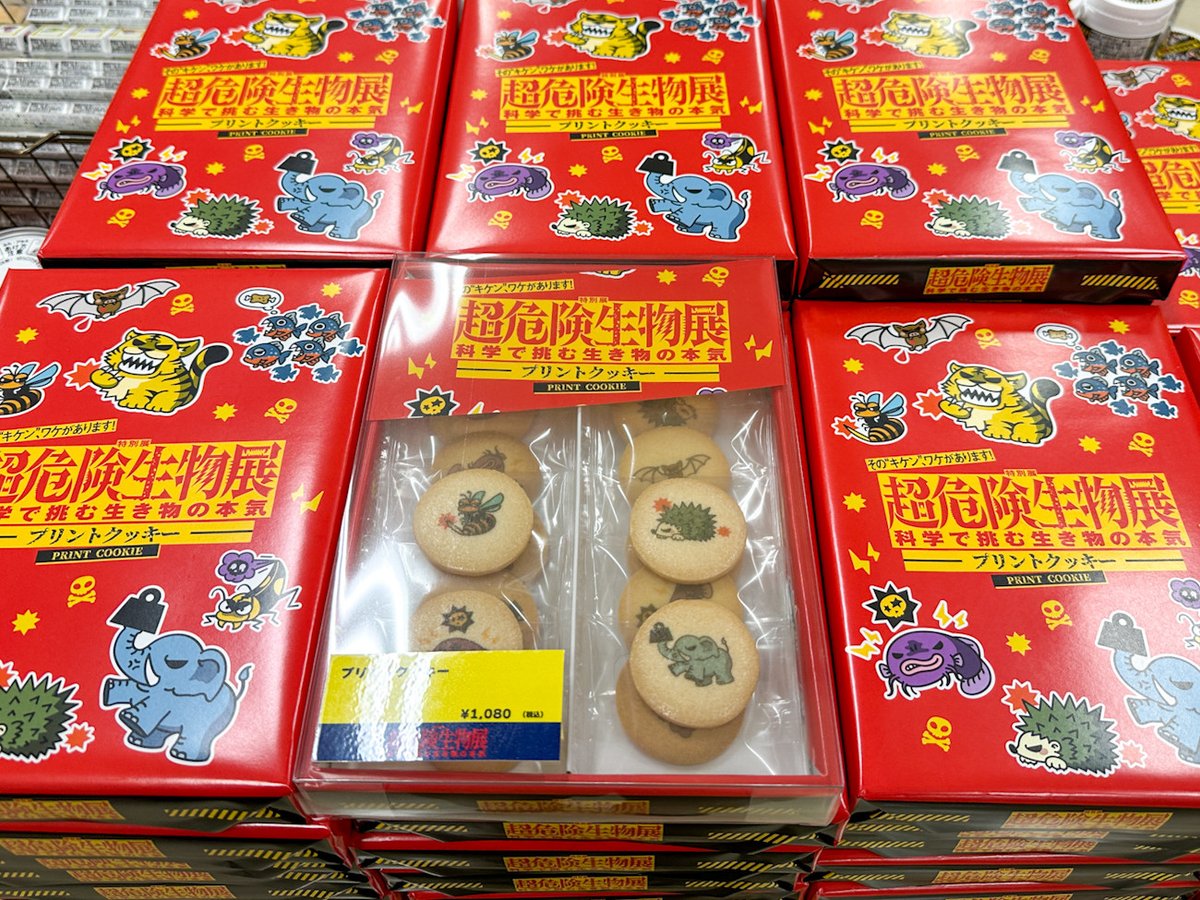 アイエム tweet media