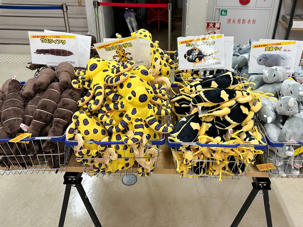 アイエム tweet media