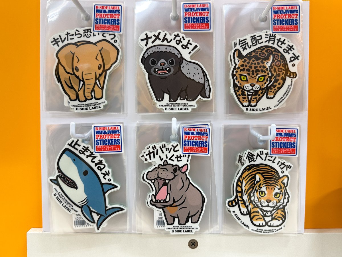 アイエム tweet media