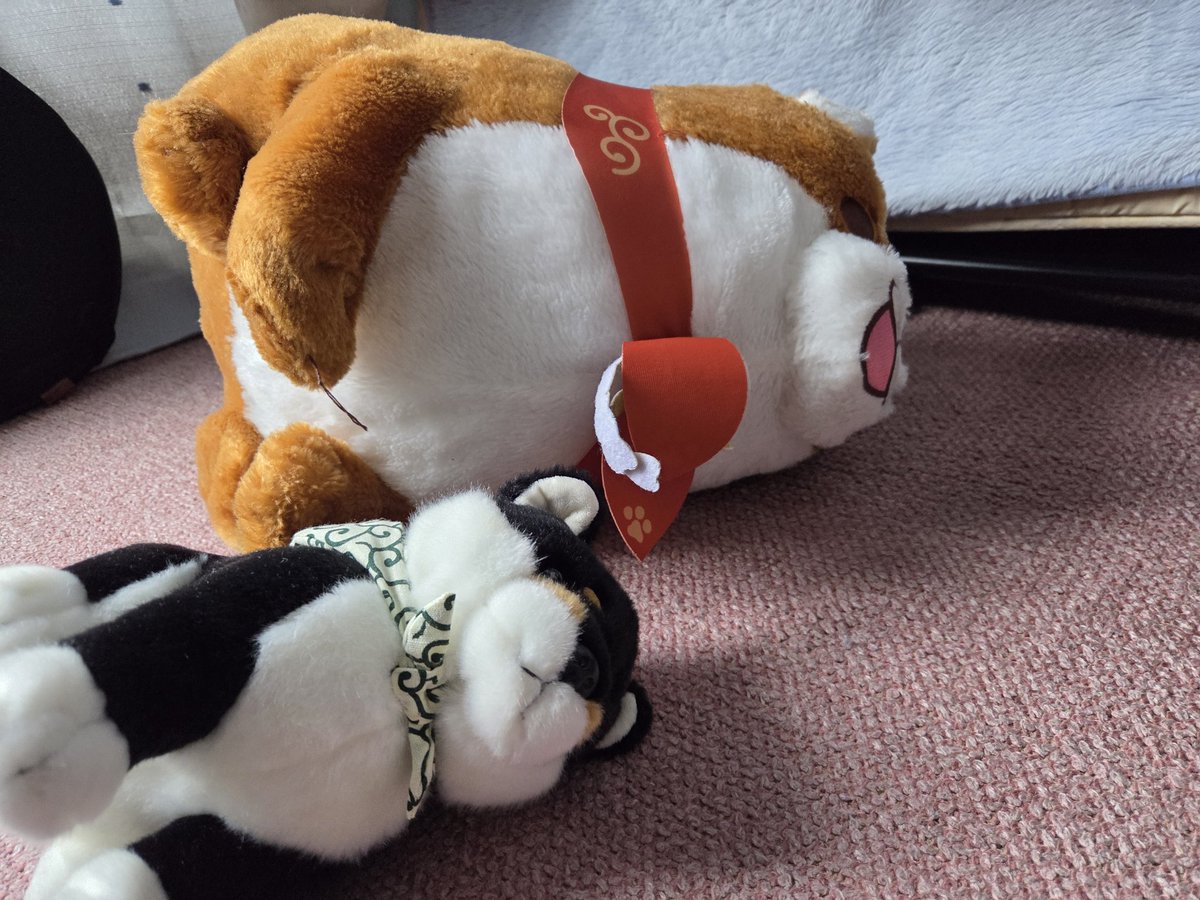 移植2年後のかずトレ(最近ブルアカやってるw) tweet media