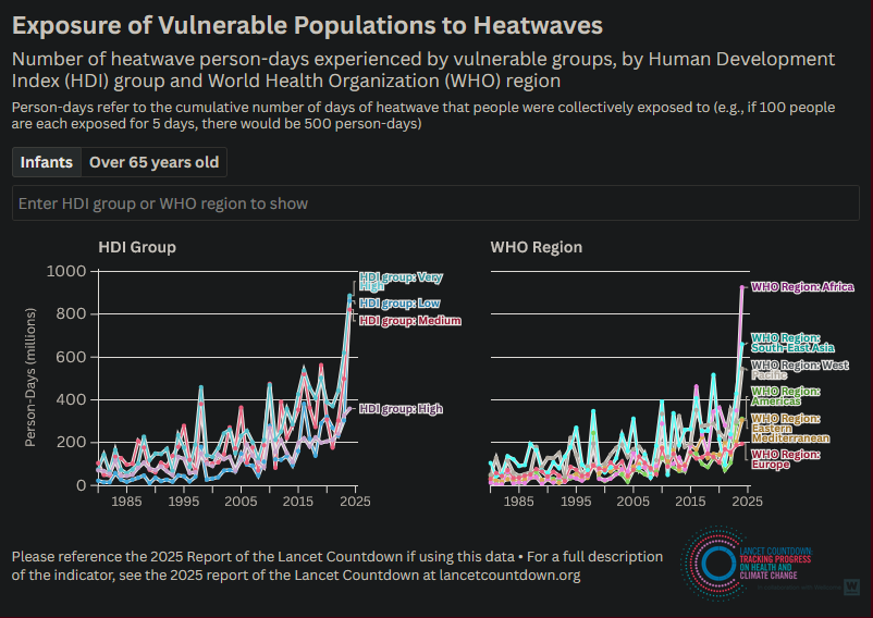 Casual Observer tweet media