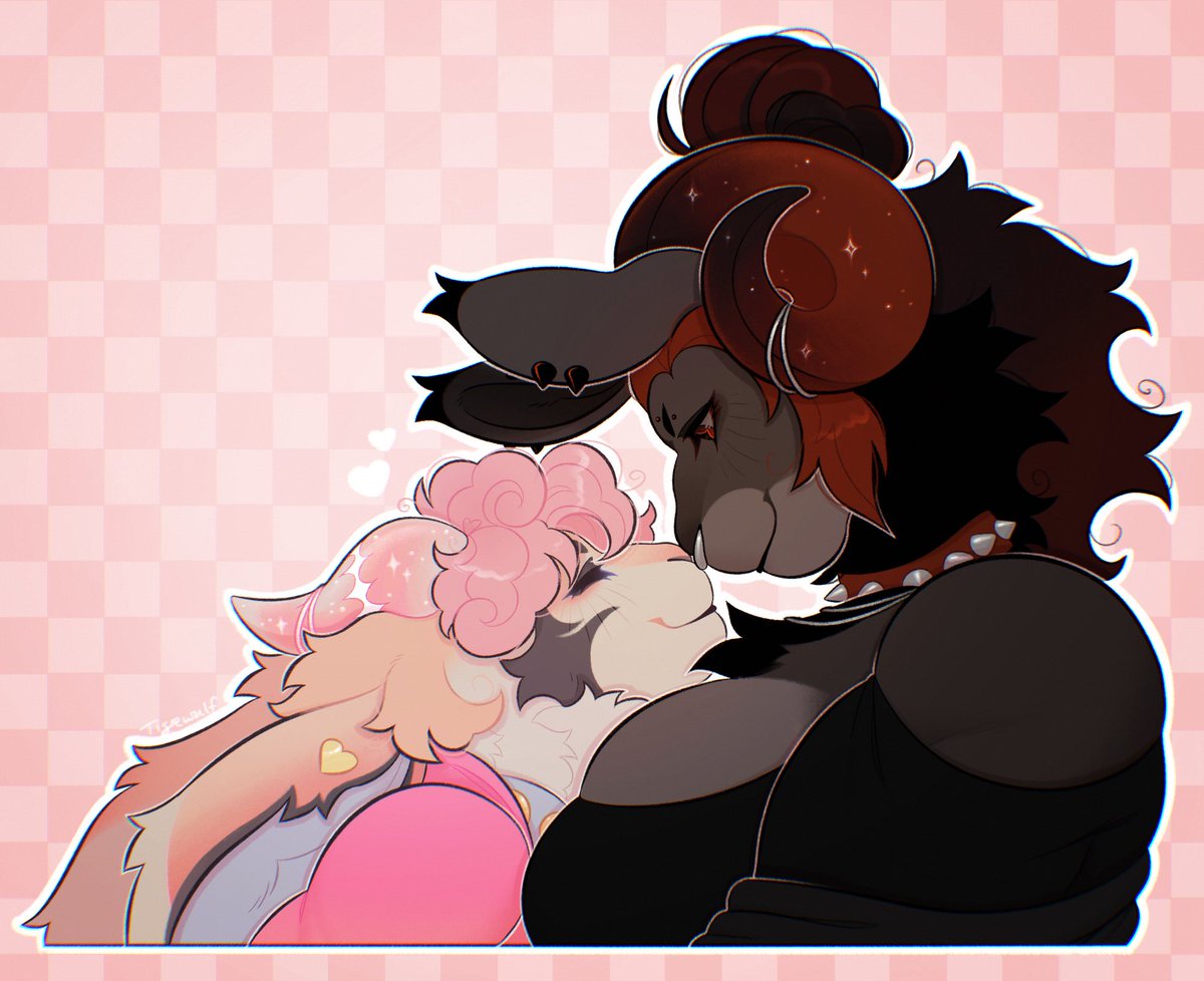 Wulf 🐝 ➡️ TFF 2026 tweet media