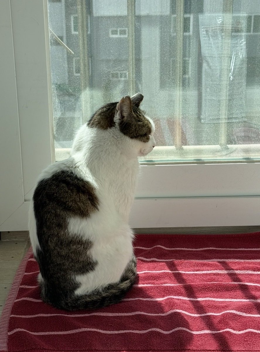 ๋๋ฉฉ์ด tweet media