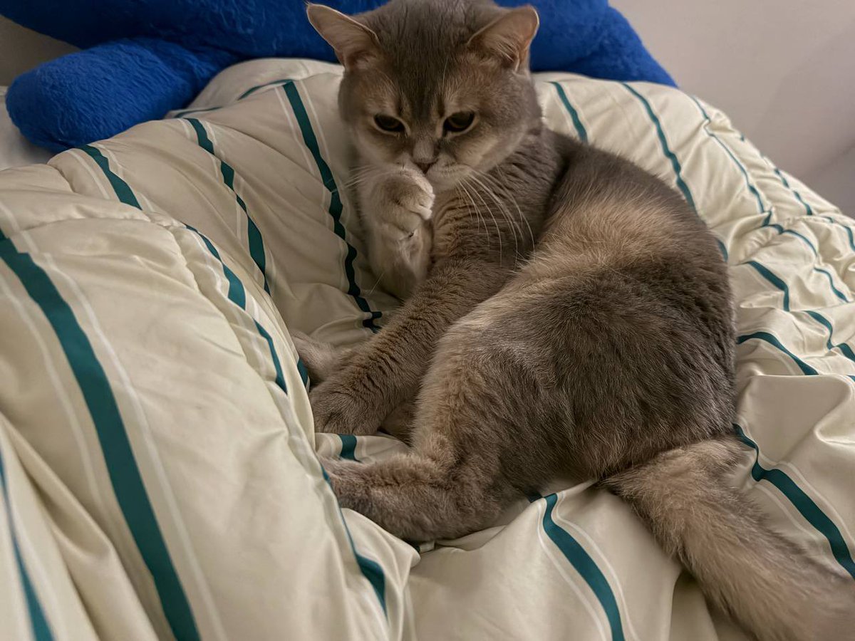 Jayoobyul tweet media