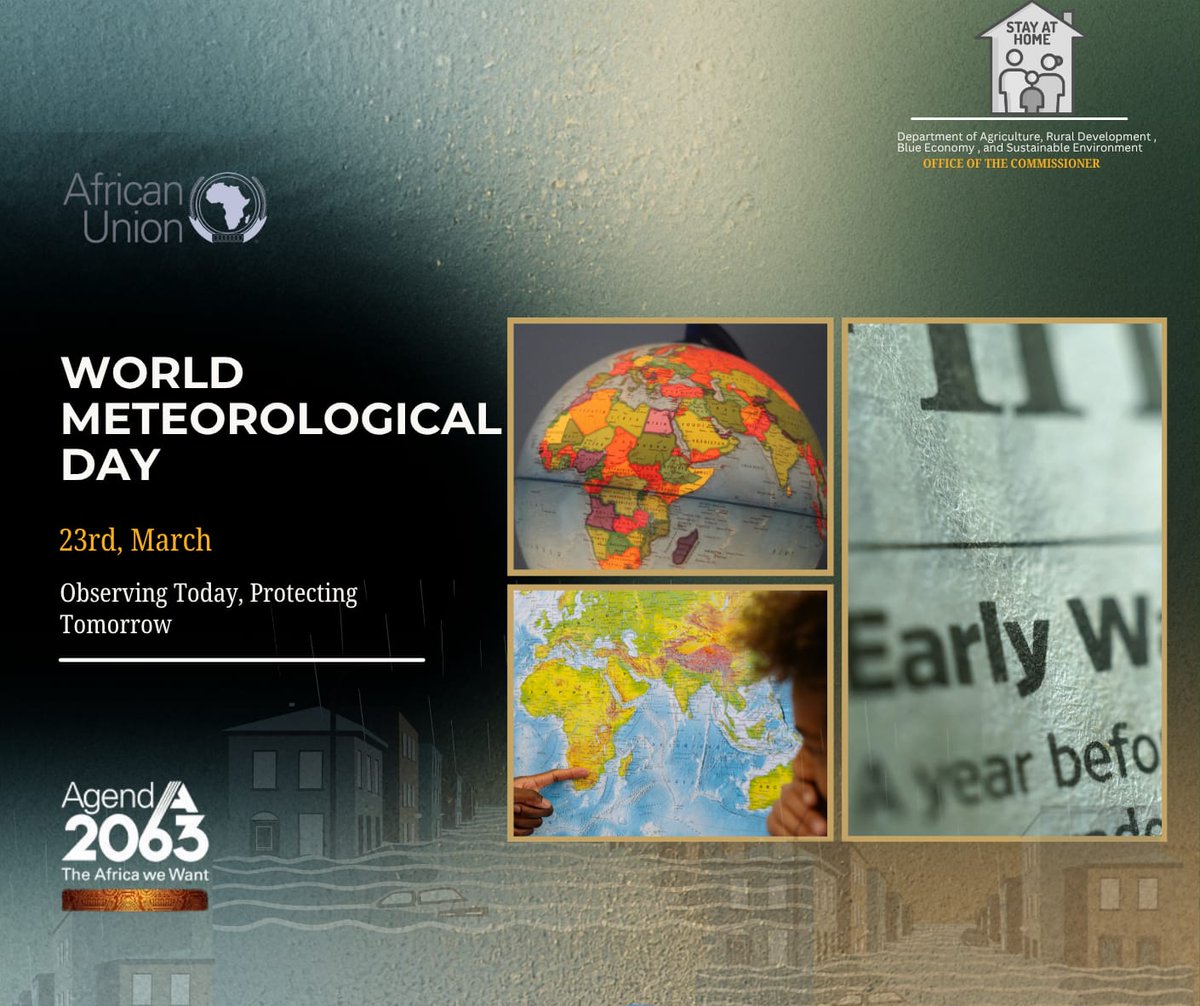 H.E Moses Vilakati tweet media