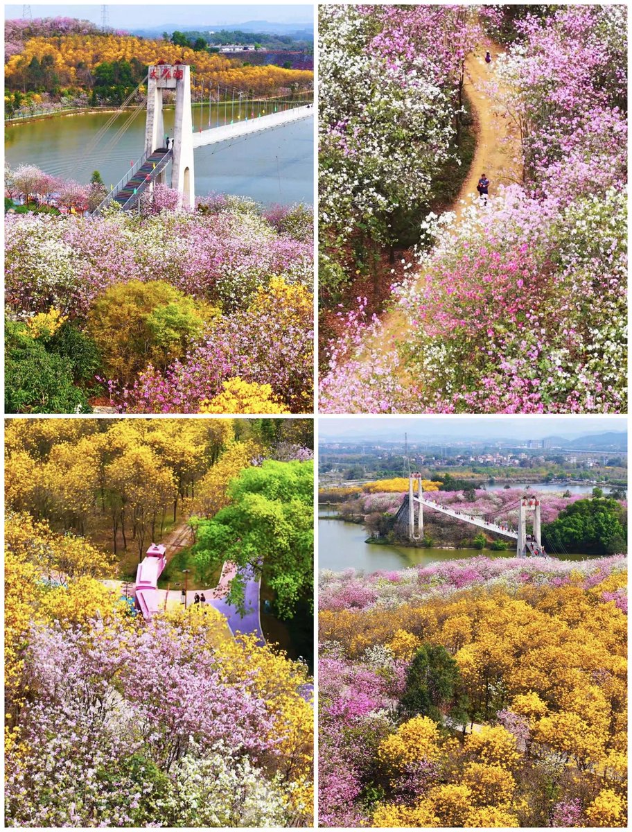 大美华夏 tweet media