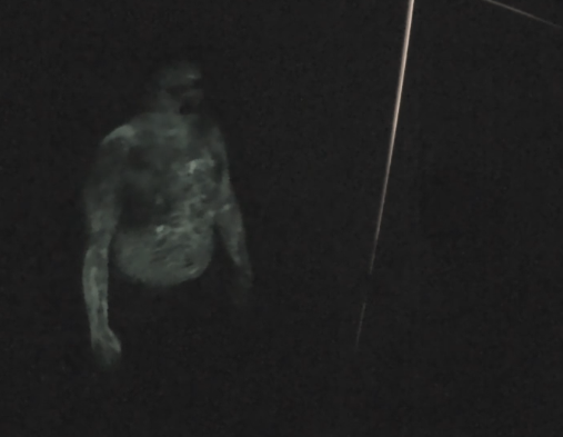 Dequavis Kush tweet media