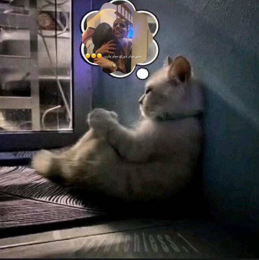 مـيُـود tweet media