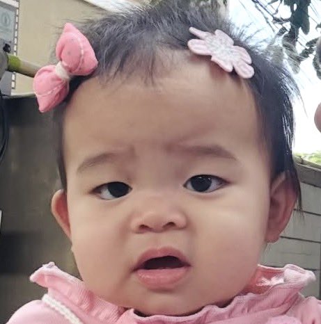 qt pie , tweet media