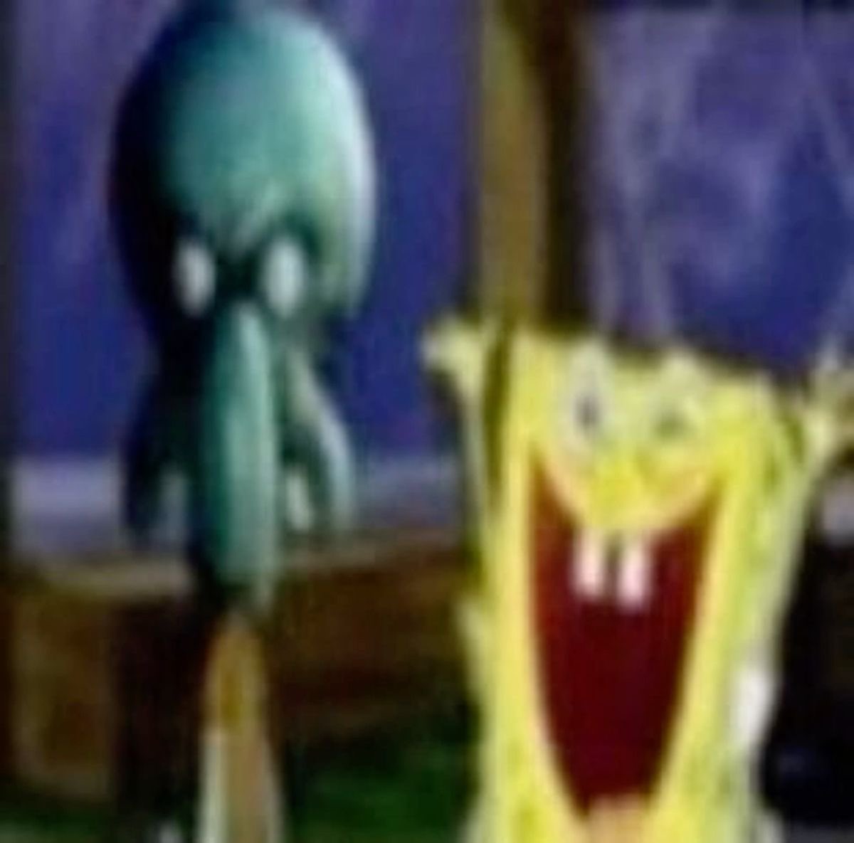 damien 🚯 ! #1 bundus fan tweet media