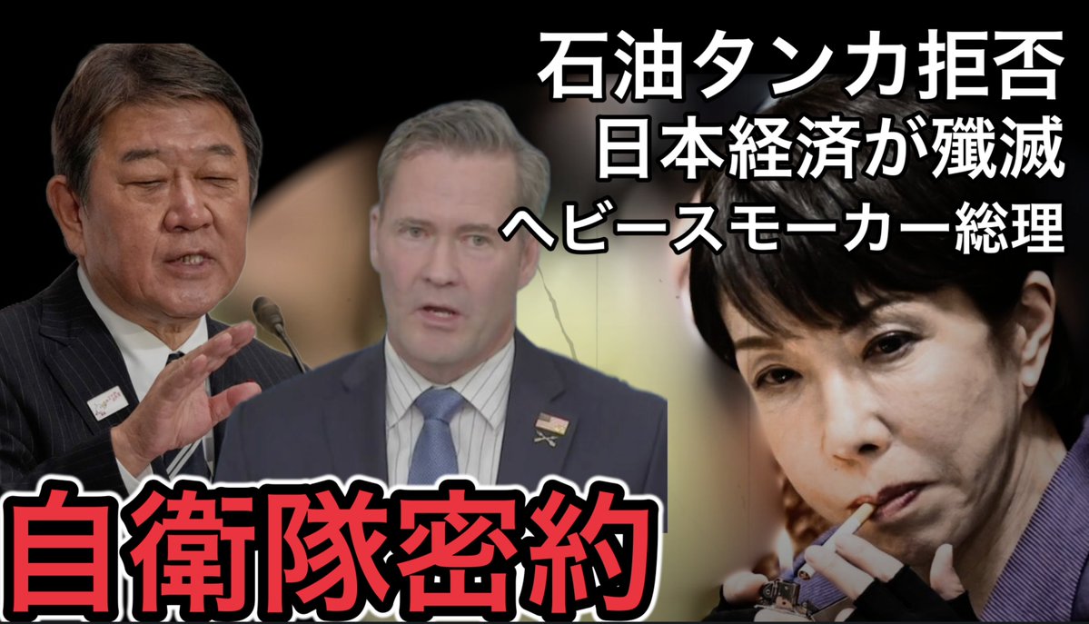 🐾 藤村晃子（あきこ）🐕🐈神奈川区・無所属連合 保護猫活動 保護猫の家arigato tweet media