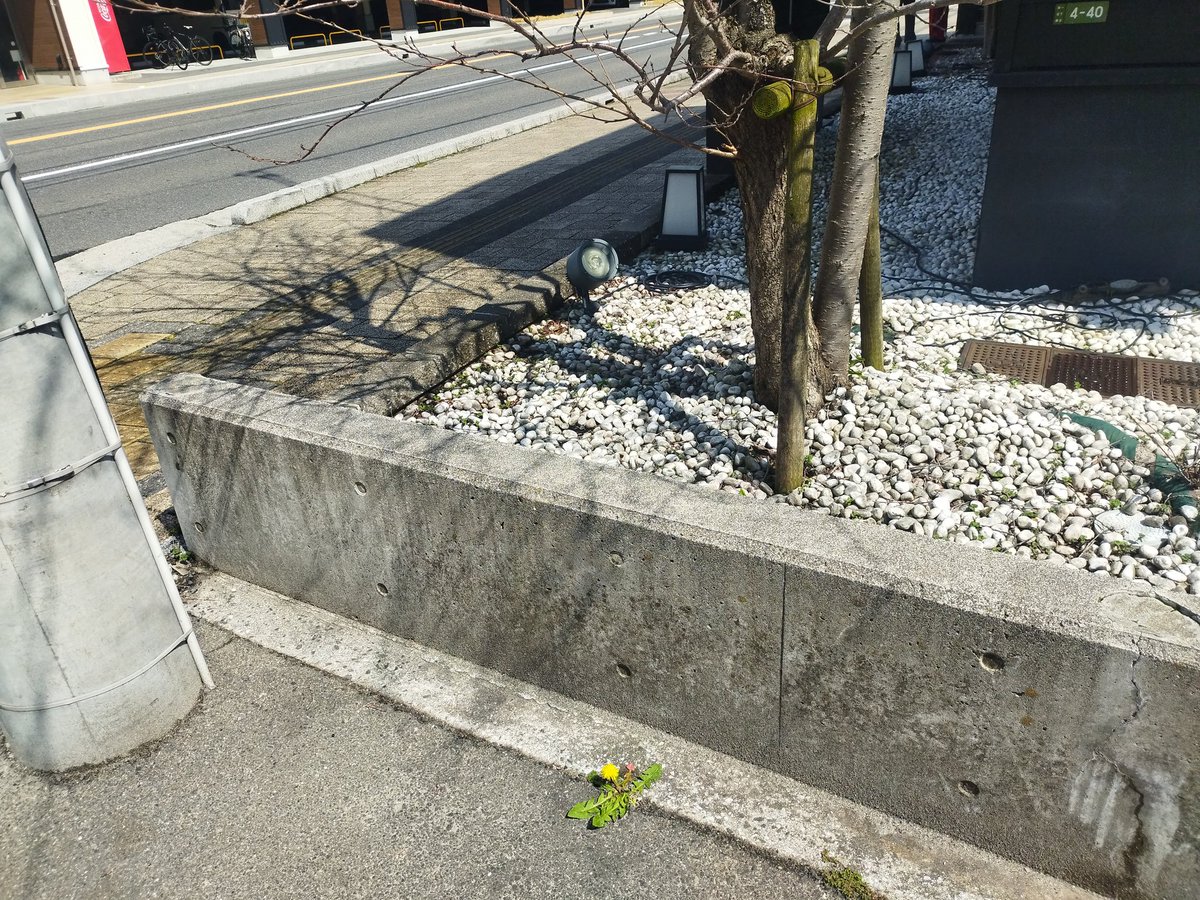 【ヒンメル声真似師】魔女どろみの知的で痴的な文化史 tweet media