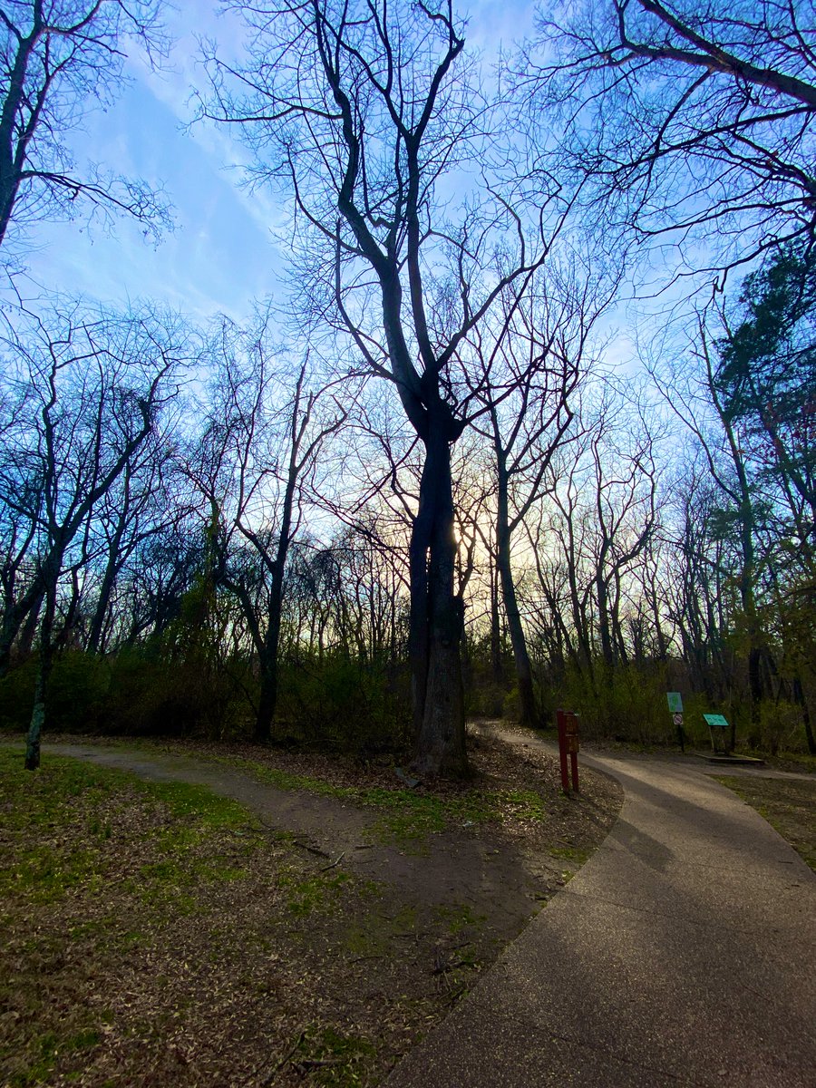 CoffeeLiciousLady tweet media