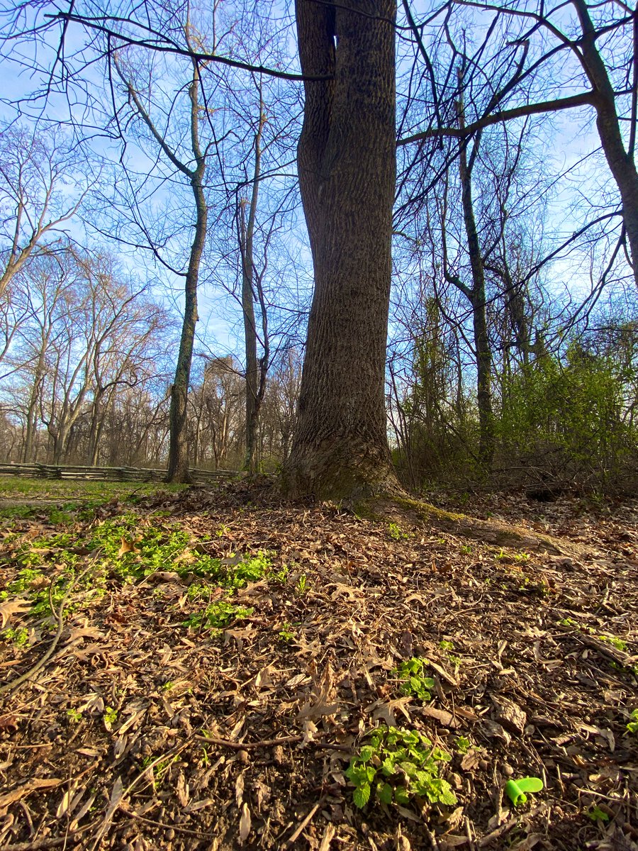 CoffeeLiciousLady tweet media