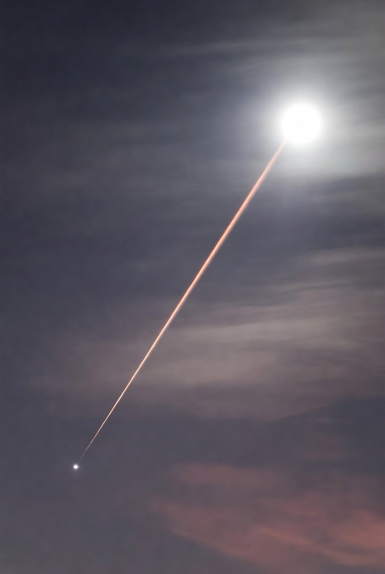 Daily Quote tweet media