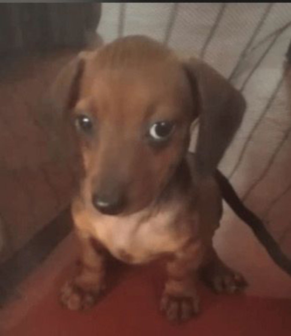 mave | UNIQUE tweet media