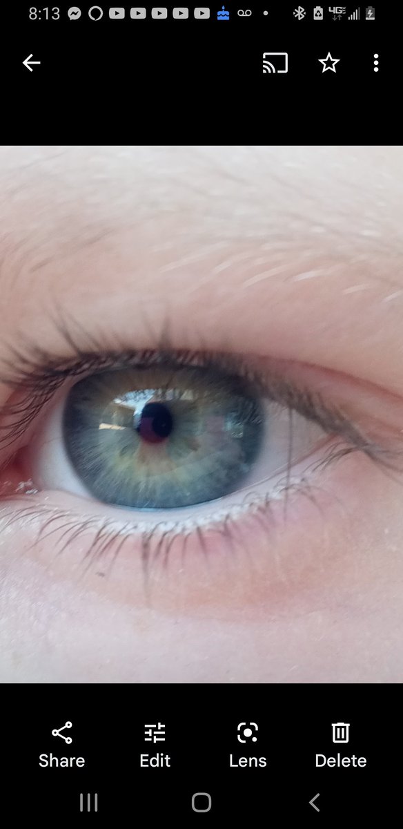 Ursula Haverbeck tweet media