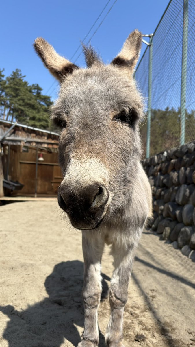 須坂市動物園【公式】 tweet media