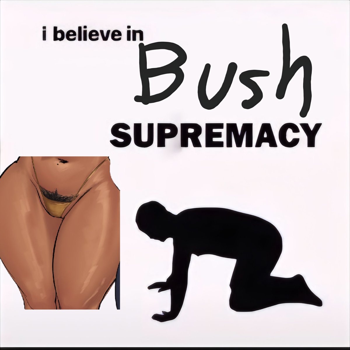 wisk mellow tweet media