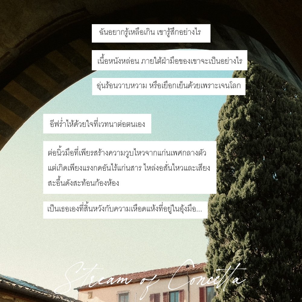 🐸Ladys and Moonscape🐱 tweet media