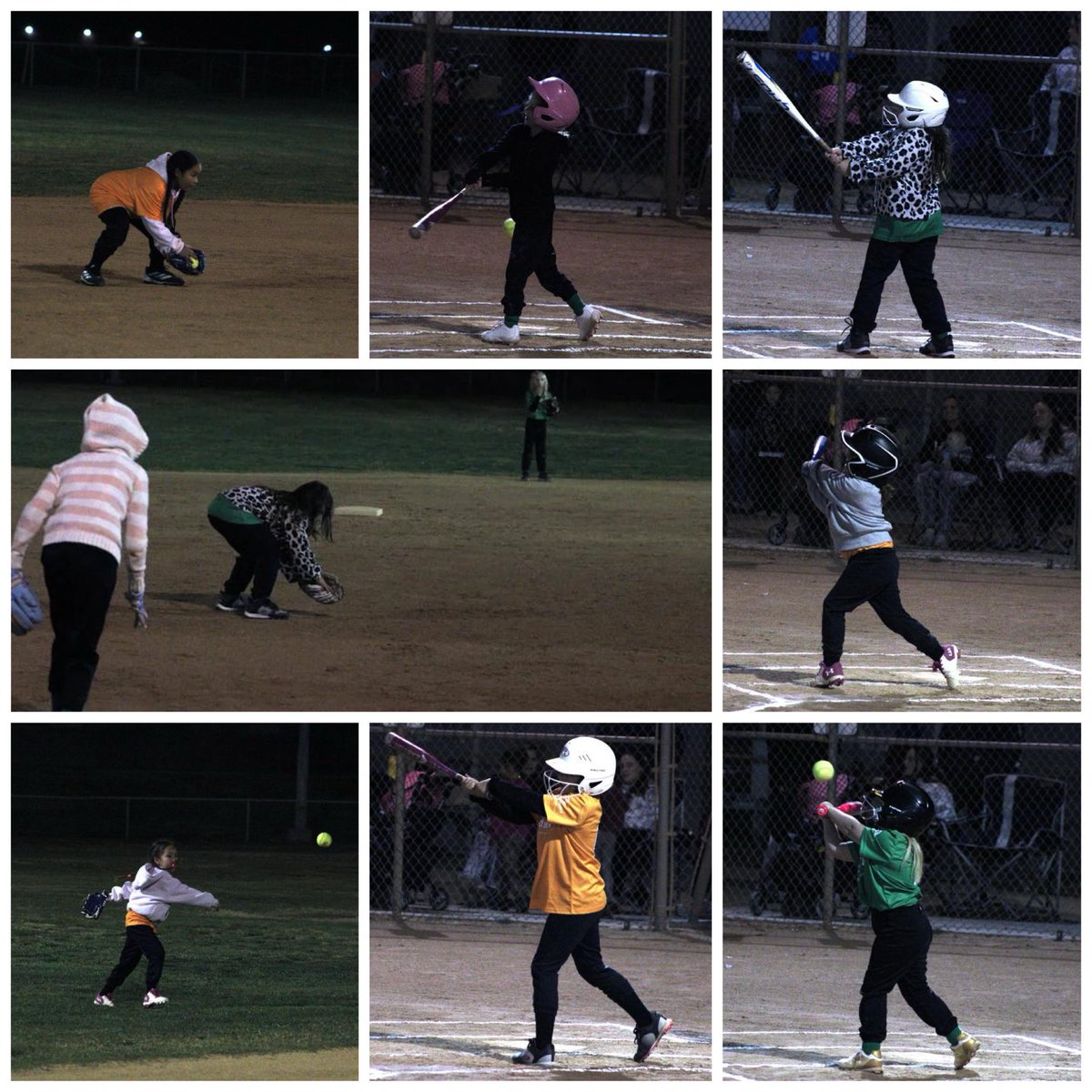 The Daily Independent tweet media