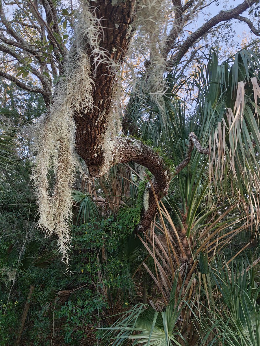 EvilFrostLord tweet media