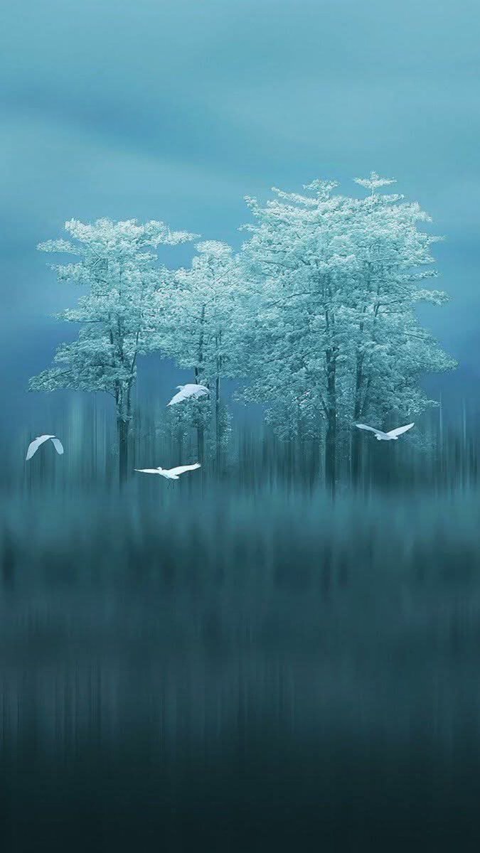 Happy tomorrow tweet media