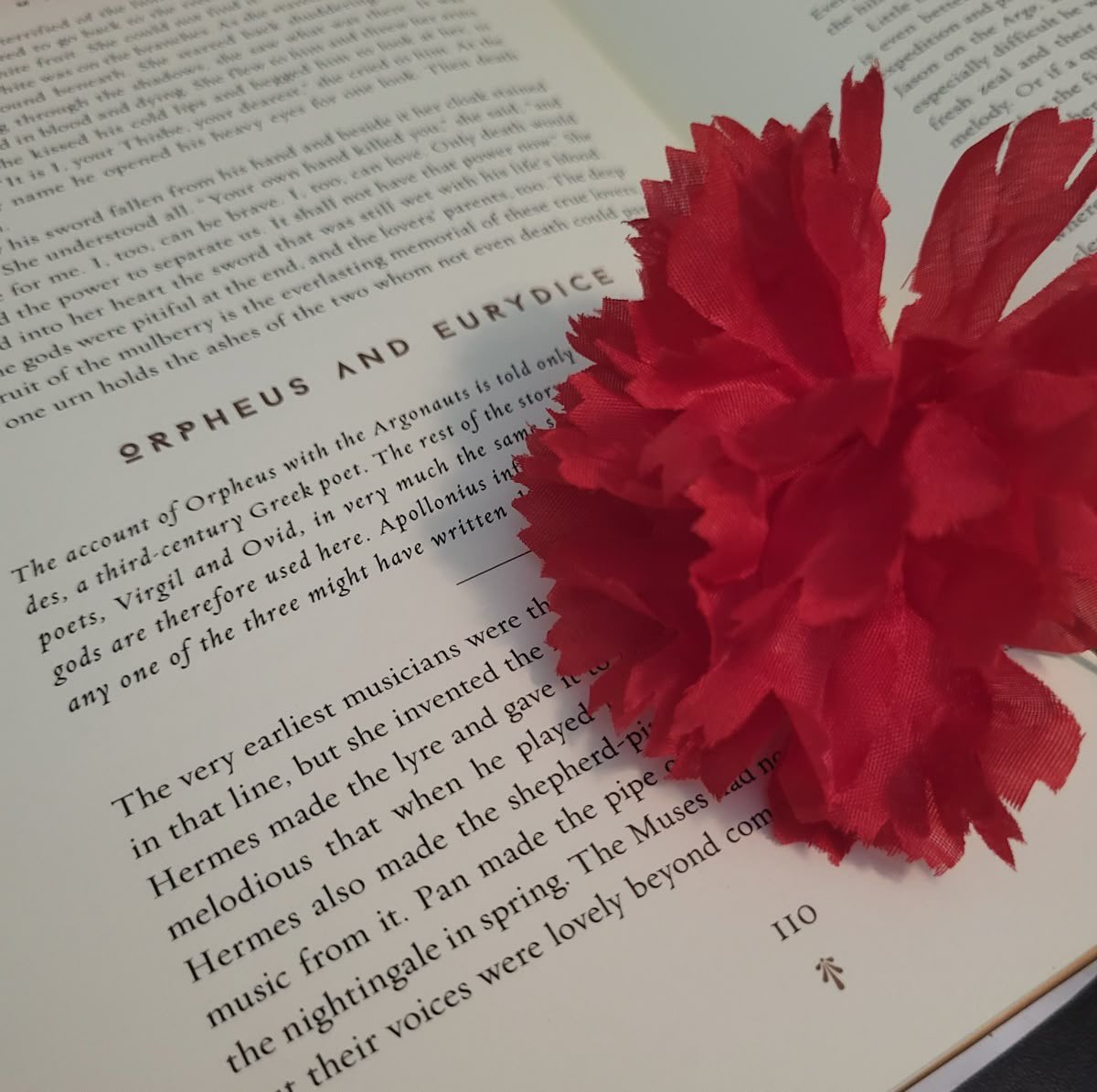 m ★ pittyuri pilled tweet media