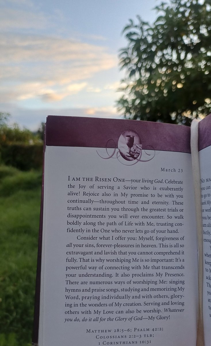 Monique van der KZN 🇿🇦 tweet media