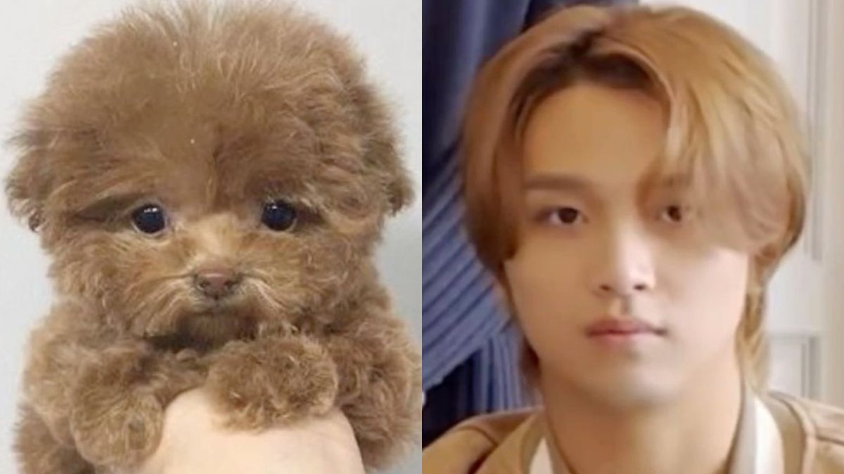 ㅂiㅂ! tweet media