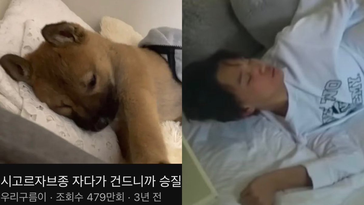 ㅂiㅂ! tweet media