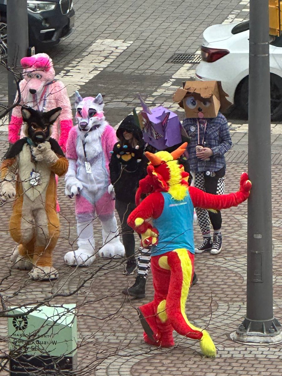 Ronnie 🍜🐉🔜 🇺🇸LVFC tweet media